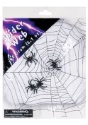 Spider Web with Spiders