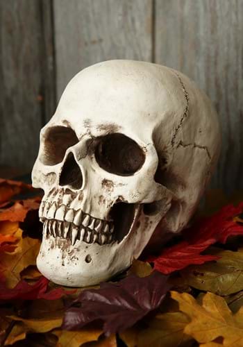 Deluxe Realistic Skull