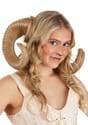 Adult Ram Horns-update1