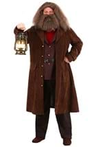 Deluxe Harry Potter Hagrid Men's Costume-alt1