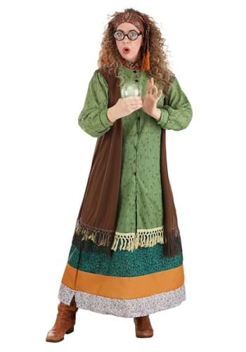 Harry Potter Deluxe Plus Size Adult Professor Trel
