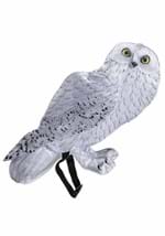Harry Potter Hedwig Costume Accessory Alt 1